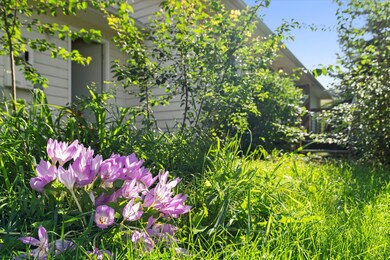 2010 Mission Way S, Kalispell, MT 59901 - photo 5