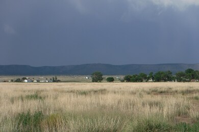 4475 W Robbie Ln, Paulden, AZ 86334 - photo 5