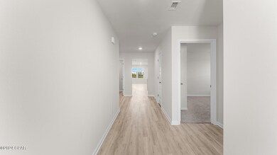 6965 William Pitsenbarger Rd, Panama City, FL 32404 - photo 4