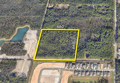 ~10 Acres Nellie Dr, Santa Rosa Beach, FL 32459 - photo 2