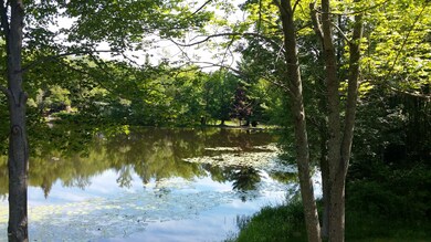 462 Forest St, Honesdale, PA 18431 - photo 5