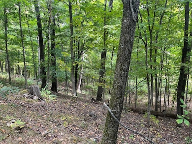 1154 Cold Spring Roa Cold Spring Rd, Clinton Corners, NY 12514 - photo 4