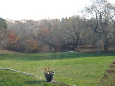 View. From living room to pond