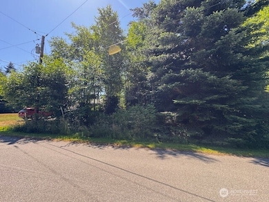 43 E Sycamore Rd, Coupeville, WA 98239 - photo 2