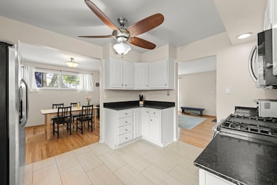 221 S Linden Ave, Elmhurst, IL 60126 - photo 5