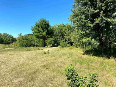 Lot 1 and 2 N Front St, Coloma, WI 54930 - photo 7