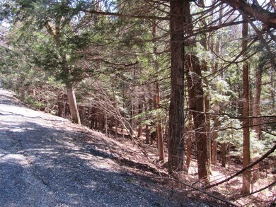 0 Stratton View Rd unit 26, Winhall, VT 05340 - photo 2