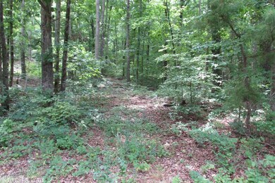 0 Lot 29 Dr unit 20037884, Heber Springs, AR 72543 - photo 4