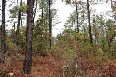 0 Poll Mill Rd, Tazewell, GA 31803 - photo 2