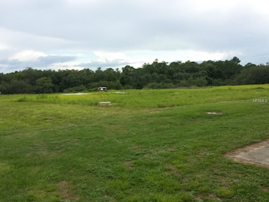 333 Caribbean Dr, Davenport, FL 33897 - photo 3