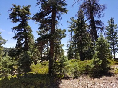 320 S Lichen Ln unit ZVME D-125, Duck Creek Village, UT 84762 - photo 7