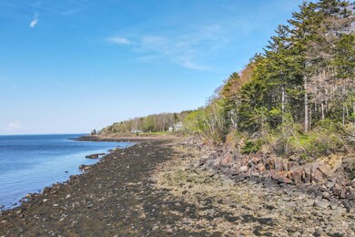 14-33WindsweptWay-OwlsHead