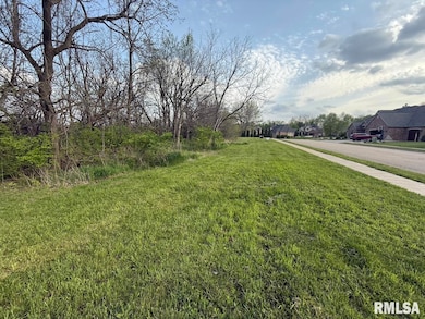 11428 N Boulder Creek Ct, Dunlap, IL 61525 - photo 4