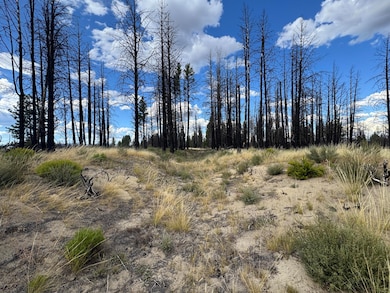 0 Shasta Fir Ln unit 9 220206679, Beatty, OR 97621 - photo 2