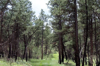 Deer Lane Lot: Eh-13, Roundup, MT 59072 - photo 7