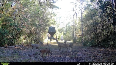 Parcel 1 Sunburst Dr, Crestview, FL 32539 - photo 2