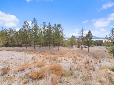 26867 Stage unit Road, Hot Springs, SD 57747 - photo 5