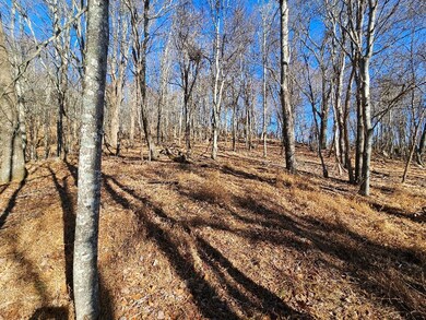 Lot#6 Fannies Ln, Fries, VA 24330 - photo 7