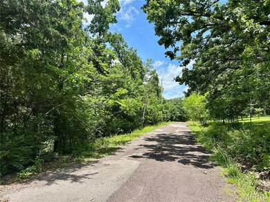 TBD Bluebird Ln, Rolla, MO 65401 - photo 4