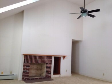 The vaulted ceiling and fireplace...