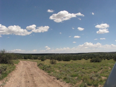 206b Bixler Trail, Ash Fork, AZ 86320 - photo 6