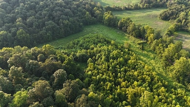 0 Ready Rd unit LotWP001 24349622, Caneyville, KY 42721 - photo 4