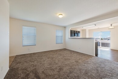 25351 Colt River, San Antonio, TX 78261 - photo 3