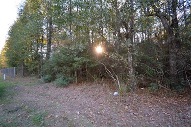 00 Little John Cir, Hockley, TX 77447 - photo 4