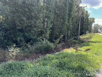 V/L Praley St SW, Valdese, NC 28690 - photo 4