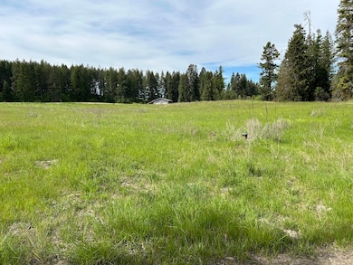 2135 Whitetail Way, Colville, WA 99114 - photo 5