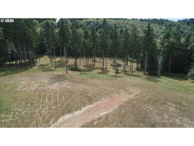 0 Oak Point Rd, Longview, WA 98632 - photo 6