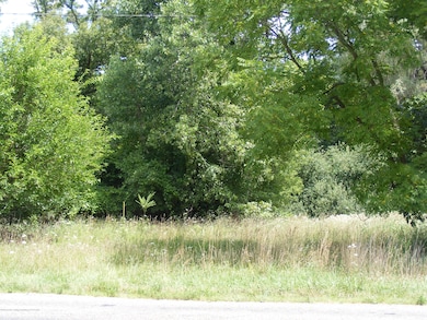 DSCF3081