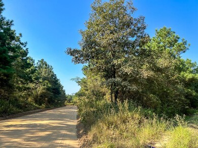 0 Highway 190, Woodville, TX 75979 - photo 6