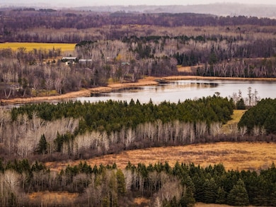 TBD 141st Ave, Bagley, MN 56621 - photo 5