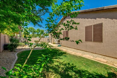 Grassy Backyard