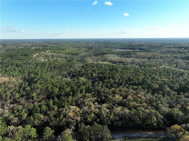 0 Dogwood Fork Rd unit 7347527, Bay Minette, AL 36507 - photo 2