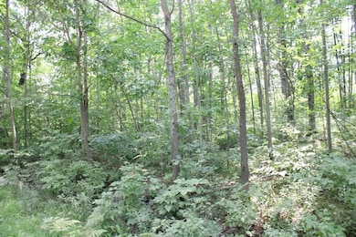 Parcel A-1 W Lily Lake Rd, Harrison, MI 48625 - photo 4