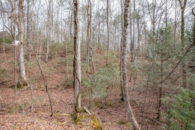 454, 455 Seneca Dr, Ellijay, GA 30540 - photo 5