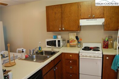 475 Meadowview Dr unit B301, Boone, NC 28607 - photo 3