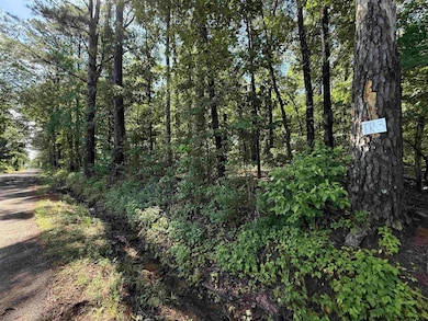 TBD County Road 4194, Henderson, TX 75654 - photo 2