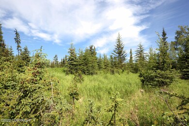 D24 Alaskan Wildwood Ranch(r), Nikolaevsk, AK 99556 - photo 3