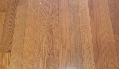 20240808_152954_resized