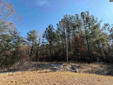 1043 Oakland Dr, Camden, SC 29020 - photo 3