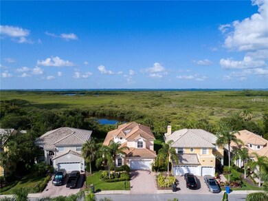 Home in the Middle. View of Pond and Wetlands