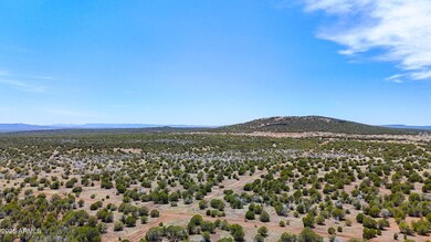 dji_fly_20250530_130248_0017_17487150033