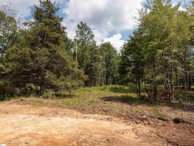 07 Neal Shoals Rd, Union, SC 29379 - photo 6