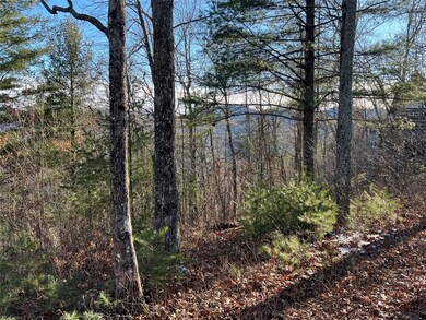 26 Shepherds Gap Rd, Cullowhee, NC 28723 - photo 6