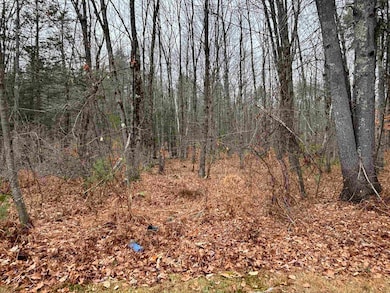 501 E Dunbarton Rd, Goffstown, NH 03045 - photo 2