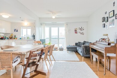 655 Concord Ave unit 502, Cambridge, MA 02138 - photo 3