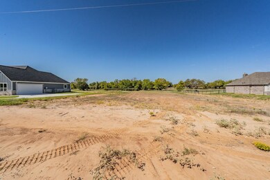 TBDC Alex Dr, Springtown, TX 76082 - photo 7